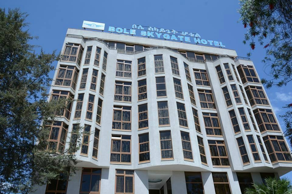 Bole Skygate Hotel Adís Abeba Exterior foto